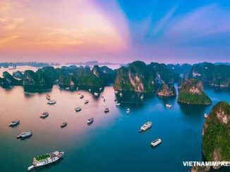 44 Data Menarik mengenai Vietnam untuk Di Kunjungi