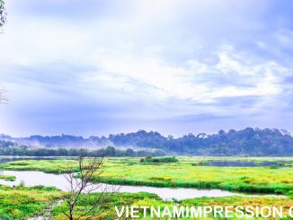 8 Daftar Taman Nasional teratas di Vietnam