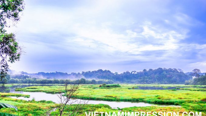 8 Daftar Taman Nasional teratas di Vietnam