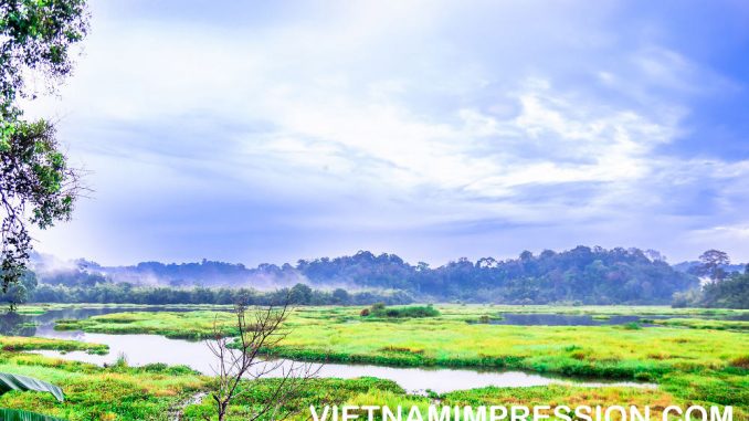8 Daftar Taman Nasional teratas di Vietnam 8 Daftar Taman Nasional teratas di Vietnam