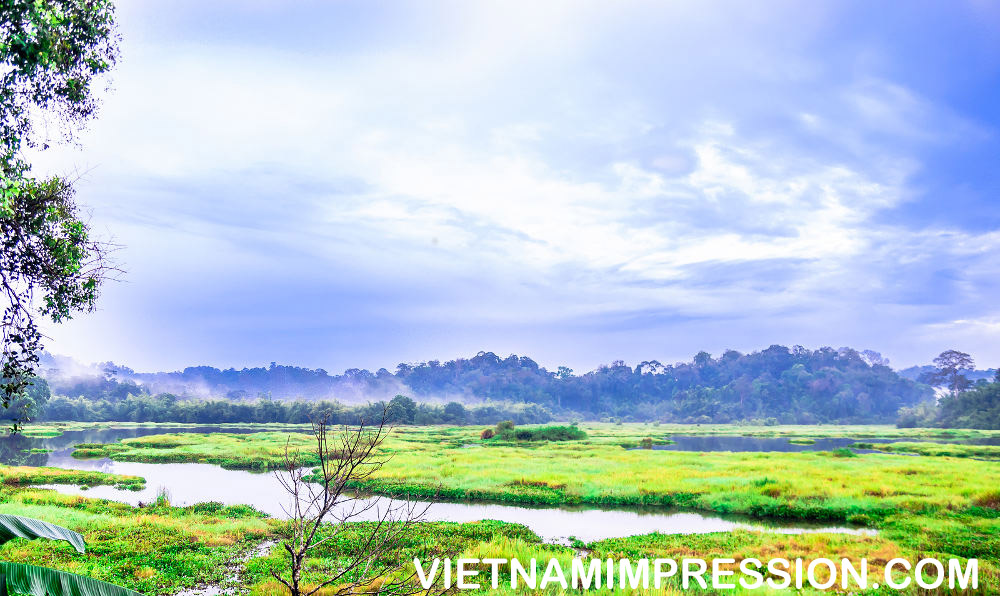 8 Daftar Taman Nasional teratas di Vietnam