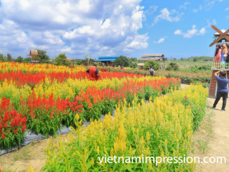 9 Destinasi Wisata Sangat Ikonik di Cần Thơ Vietnam