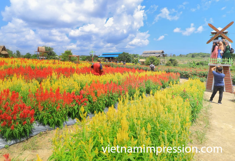 9 Destinasi Wisata Sangat Ikonik di Cần Thơ Vietnam