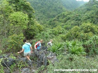 Berkunjung Ke Taman Nasional Cat Ba Vietnam
