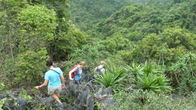 Berkunjung Ke Taman Nasional Cat Ba Vietnam Berkunjung Ke Taman Nasional Cat Ba Vietnam