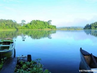 Pengalaman Berkunjung Di Taman Nasional Cat Tien Vietnam