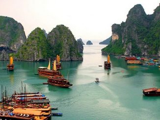 Tips untuk merencanakan pelayaran Anda Di Teluk Halong