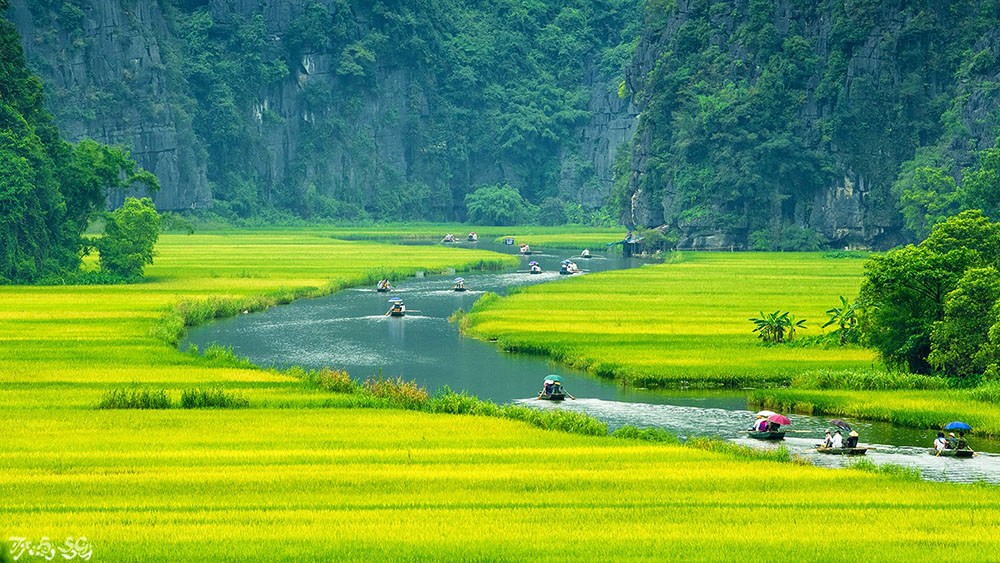 Tiga Alasan Memilih wisata ke Vietnam 2