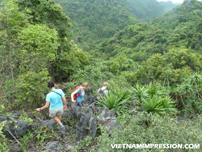 Berkunjung Ke Taman Nasional Cat Ba Vietnam